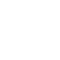 streamline-icon-spider-web-1@200x200
